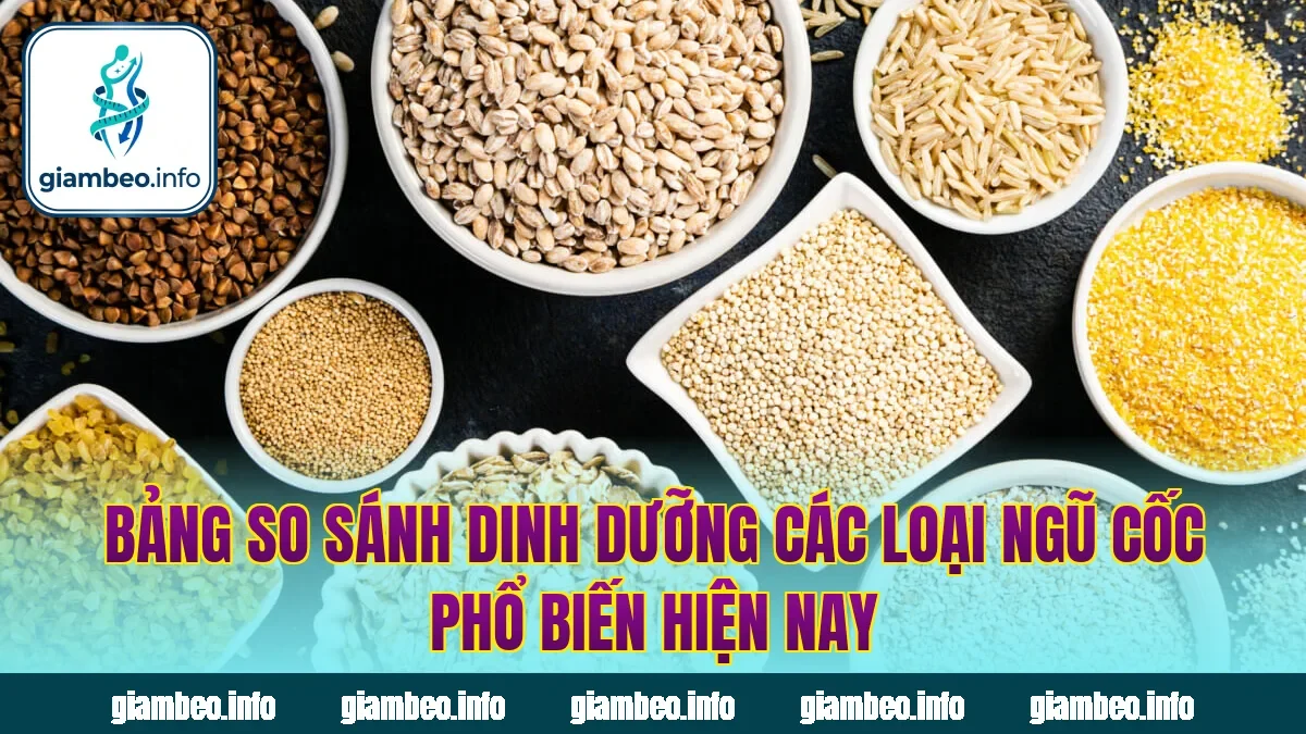 Bảng so sánh dinh dưỡng các loại ngũ cốc phổ biến hiện nay
