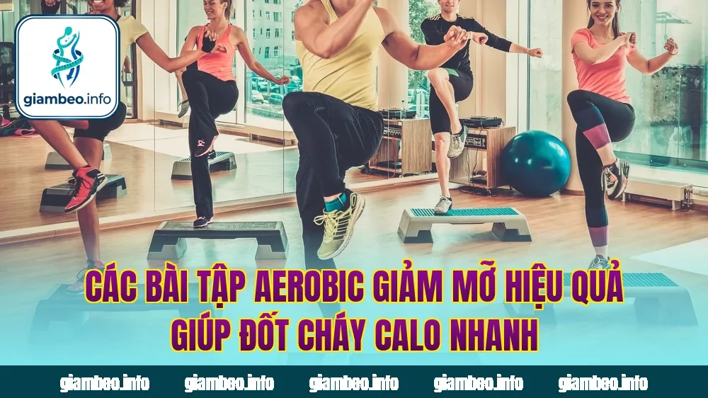 Các bài tập aerobic giảm mỡ hiệu quả giúp đốt cháy calo nhanh