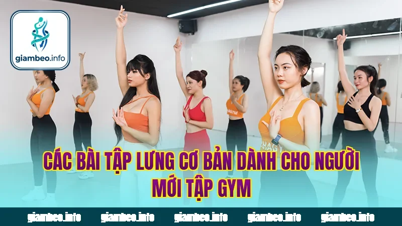 Các bài tập lưng cơ bản dành cho người mới tập gym