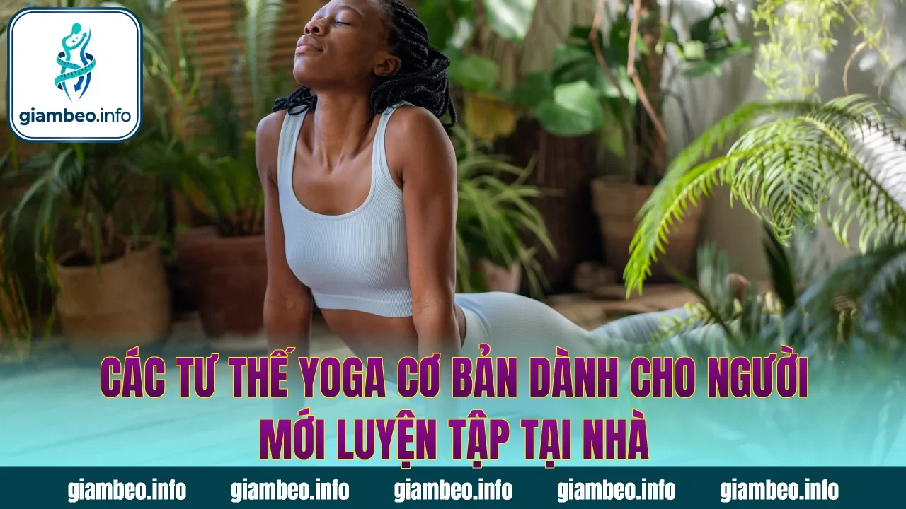 Các tư thế yoga cơ bản dành cho người mới luyện tập tại nhà