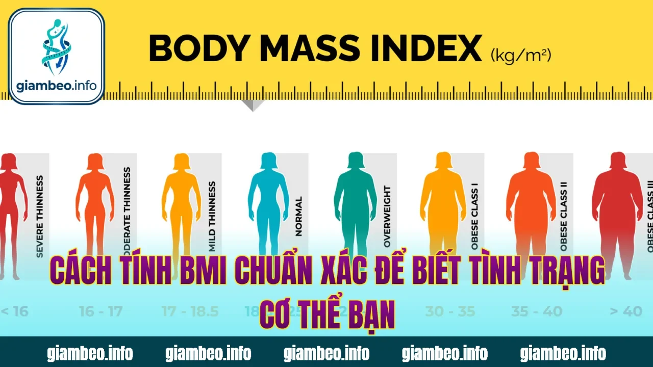 Cách Tính BMI Chuẩn Xác Để Biết Tình Trạng Cơ Thể Bạn