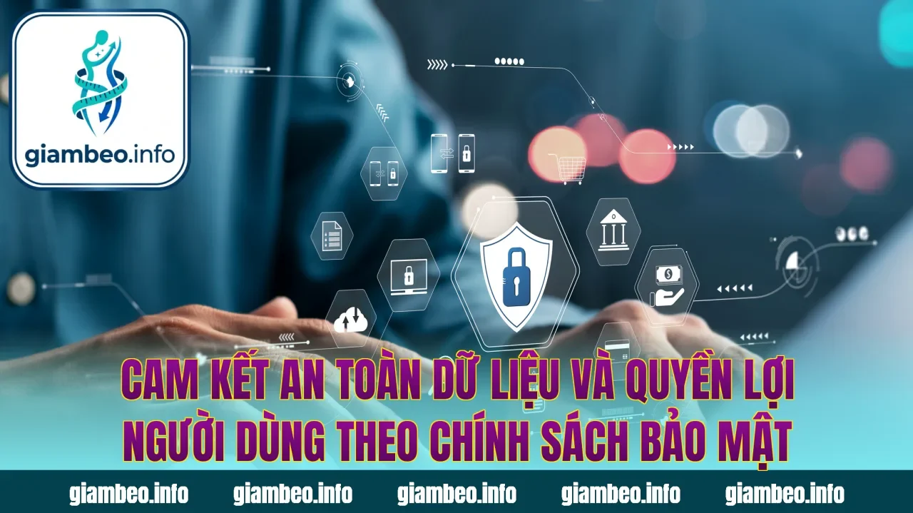 Cam kết an toàn dữ liệu và quyền lợi người dùng theo chính sách bảo mật