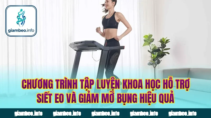 Chương trình tập luyện khoa học hỗ trợ siết eo và giảm mỡ bụng hiệu quả