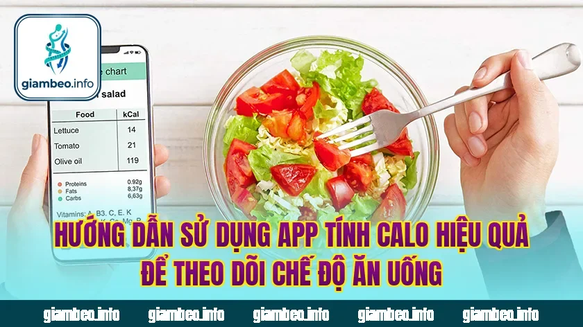 Hướng dẫn sử dụng app tính calo hiệu quả để theo dõi chế độ ăn uống