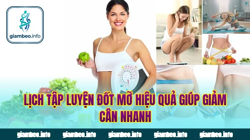 Lịch tập luyện đốt mỡ hiệu quả giúp giảm cân nhanh