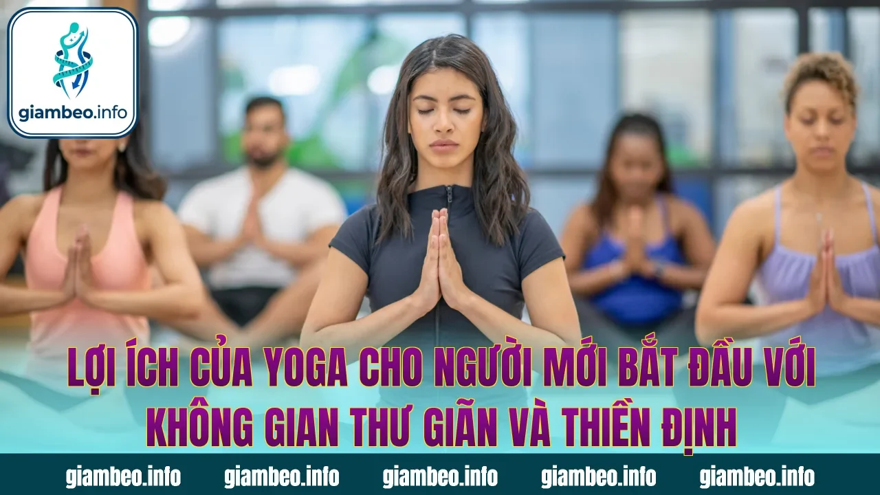Lợi ích của yoga cho người mới bắt đầu với không gian thư giãn và thiền định