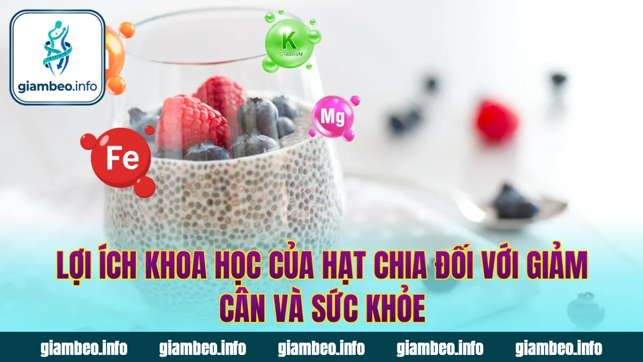 Lợi ích khoa học của hạt chia đối với giảm cân và sức khỏe