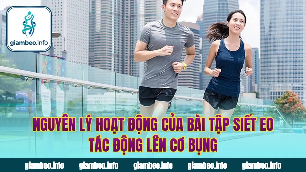Nguyên lý hoạt động của bài tập siết eo tác động lên cơ bụng