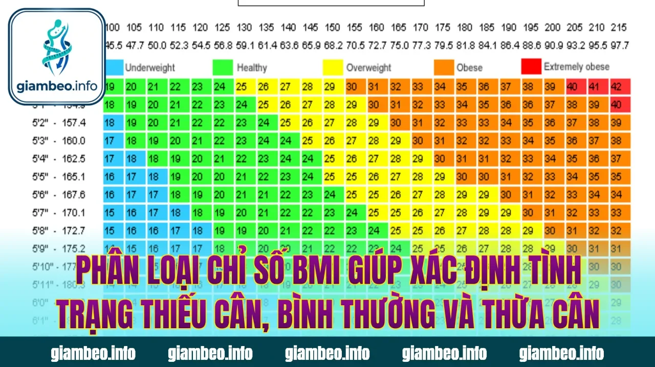 Phân loại chỉ số BMI giúp xác định tình trạng thiếu cân, bình thường và thừa cân