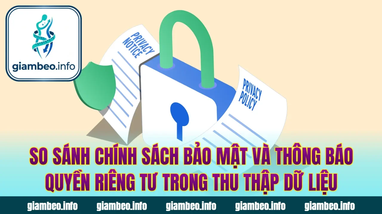 So sánh chính sách bảo mật và thông báo quyền riêng tư trong thu thập dữ liệu