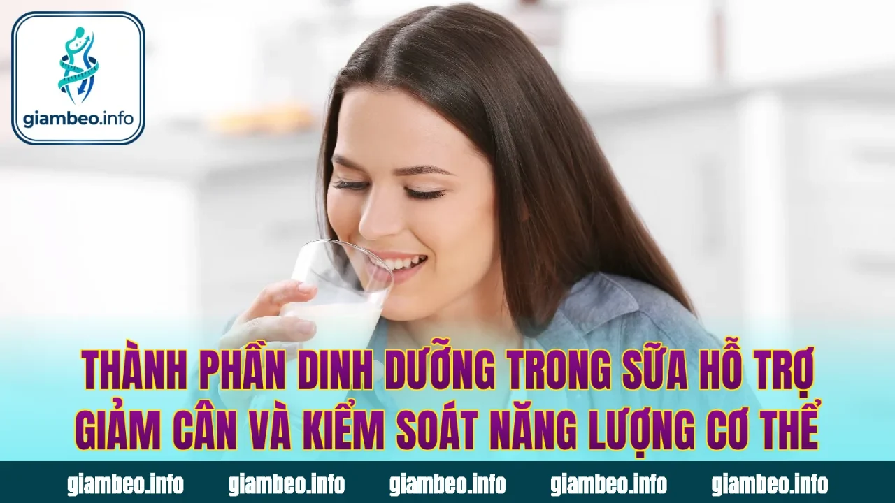 Thành phần dinh dưỡng trong sữa hỗ trợ giảm cân và kiểm soát năng lượng cơ thể