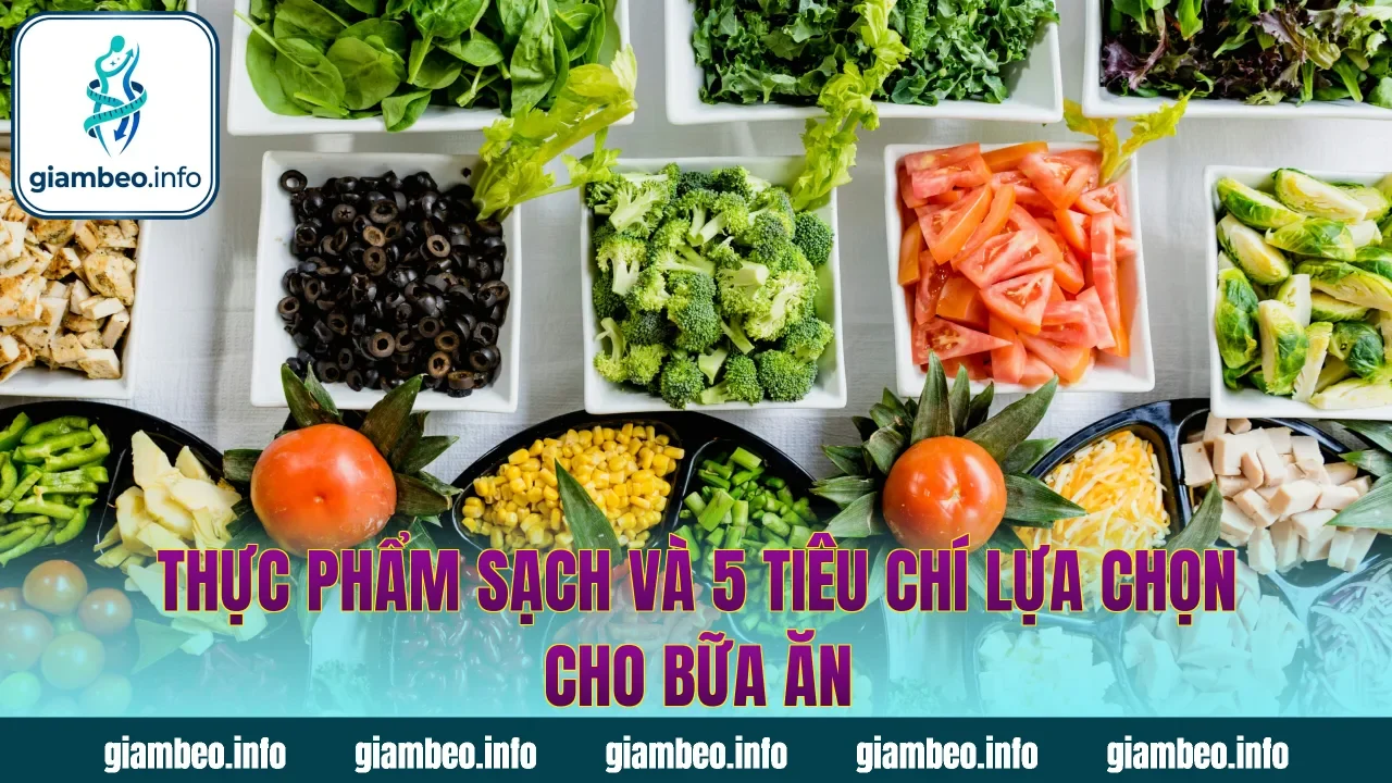 Thực Phẩm Sạch Và 5 Tiêu Chí Lựa Chọn Cho Bữa Ăn