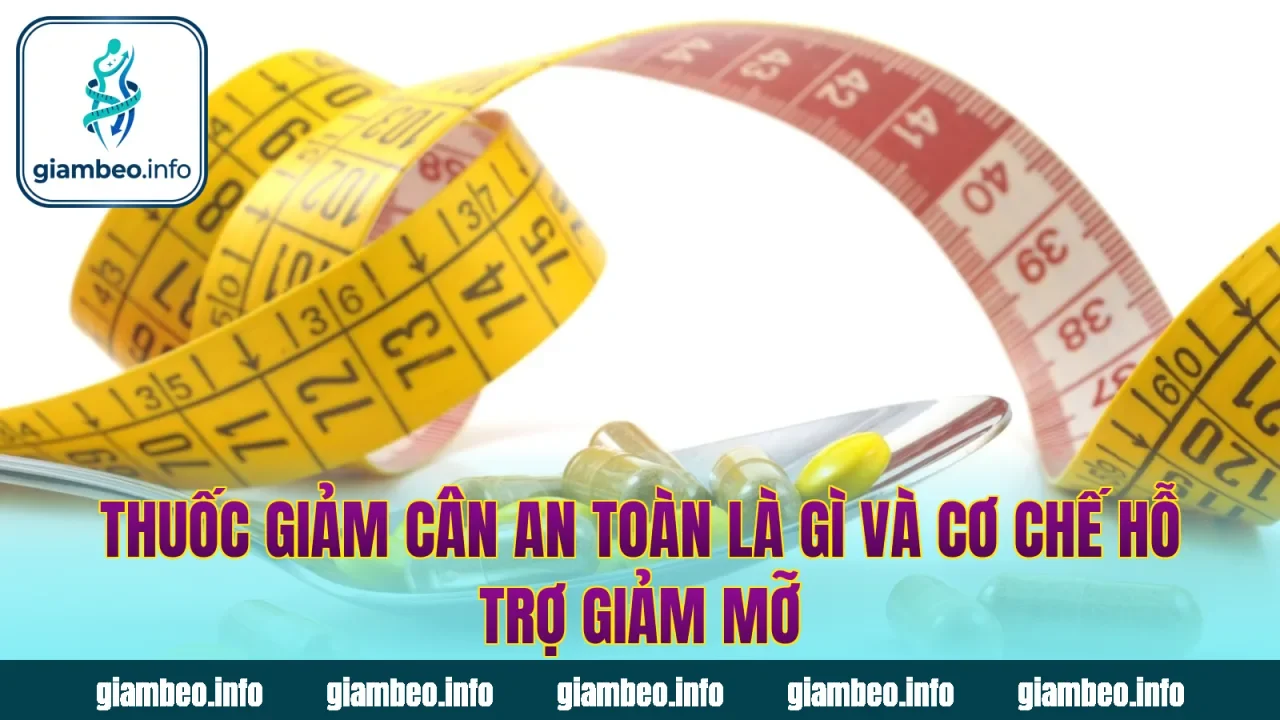 Thuốc giảm cân an toàn là gì và cơ chế hỗ trợ giảm mỡ
