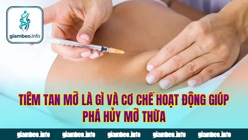 Tiêm tan mỡ là gì và cơ chế hoạt động giúp phá hủy mỡ thừa