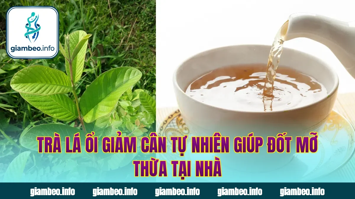 Trà Lá Ổi Giảm Cân Tự Nhiên Giúp Đốt Mỡ Thừa Tại Nhà