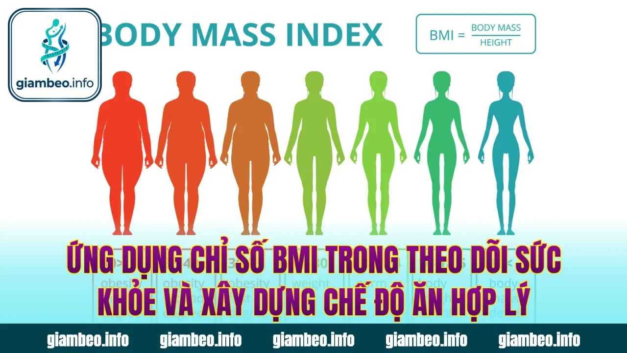 Ứng dụng chỉ số BMI trong theo dõi sức khỏe và xây dựng chế độ ăn hợp lý