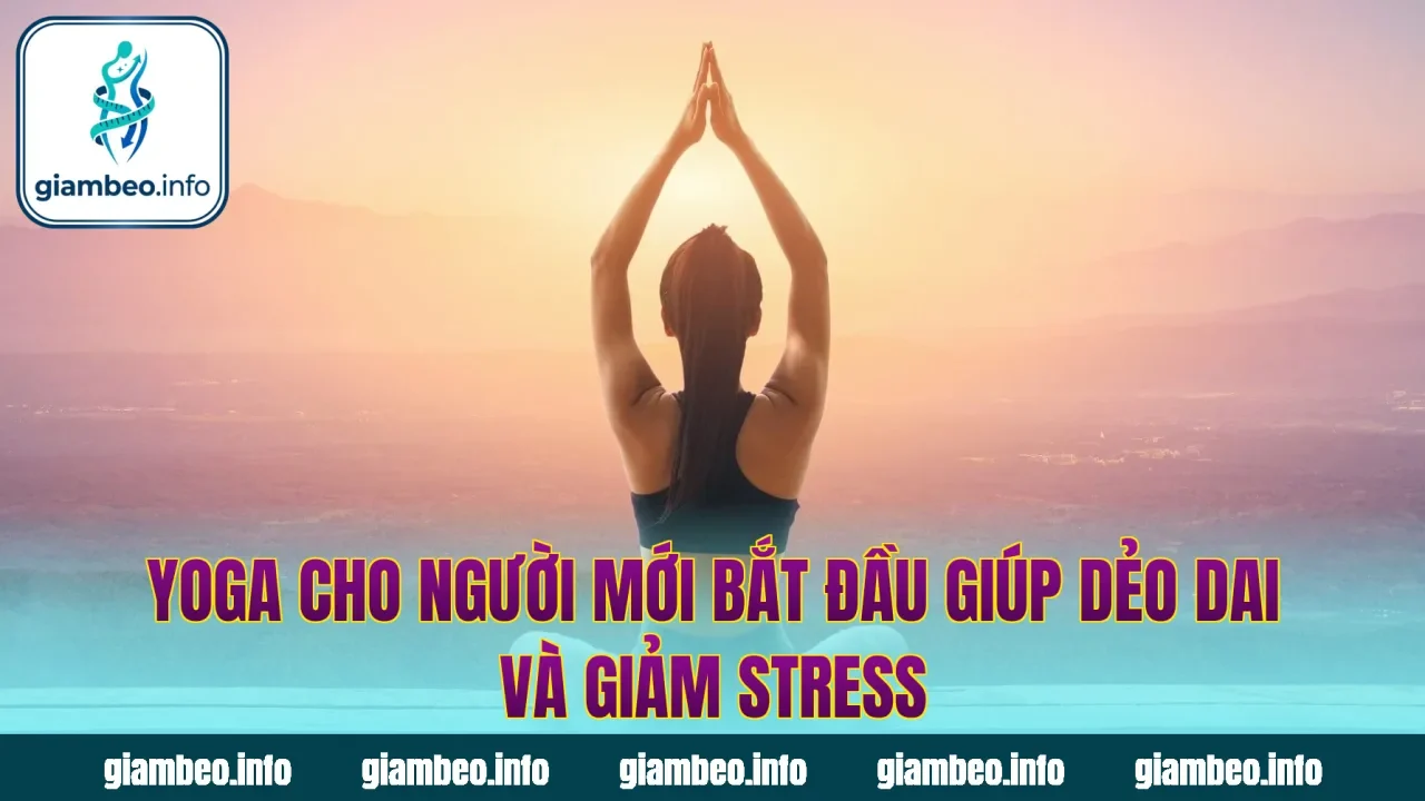 Yoga Cho Người Mới Bắt Đầu Giúp Dẻo Dai Và Giảm Stress