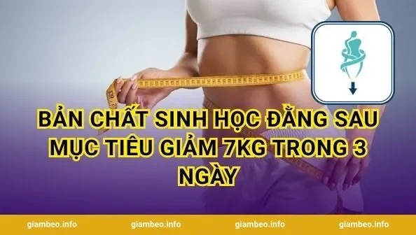 Bản chất sinh học đằng sau mục tiêu giảm 7kg trong 3 ngày