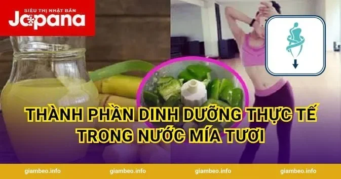 Thành phần dinh dưỡng thực tế trong nước mía tươi
